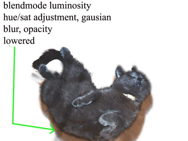 Creation of El Gato Loco: Step 5